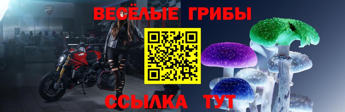 Мичуринск  Галлюциногенные грибы Psilocybe  Галлюциногенные грибы мухоморы  Вход с VPN 